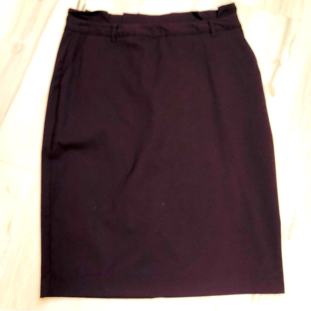Elegant  Pencil Skirt